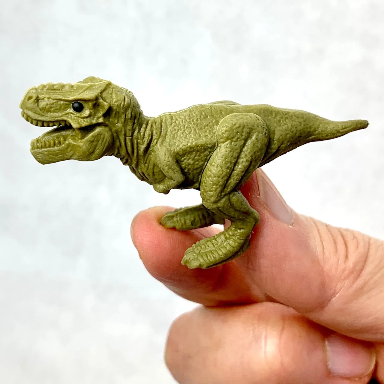 380071 IWAKO DINOSAUR ERASERS-30