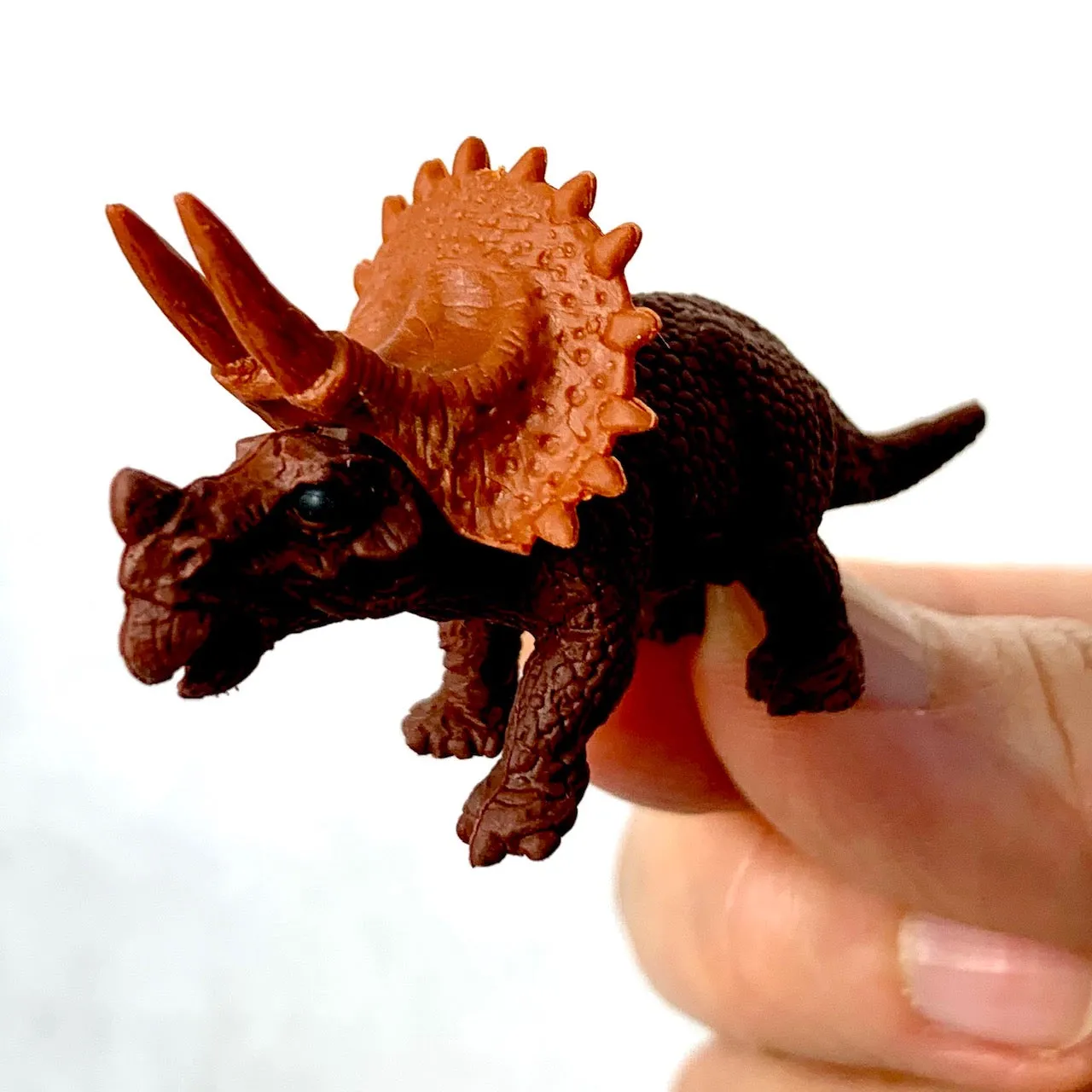 380071 IWAKO DINOSAUR ERASERS-30