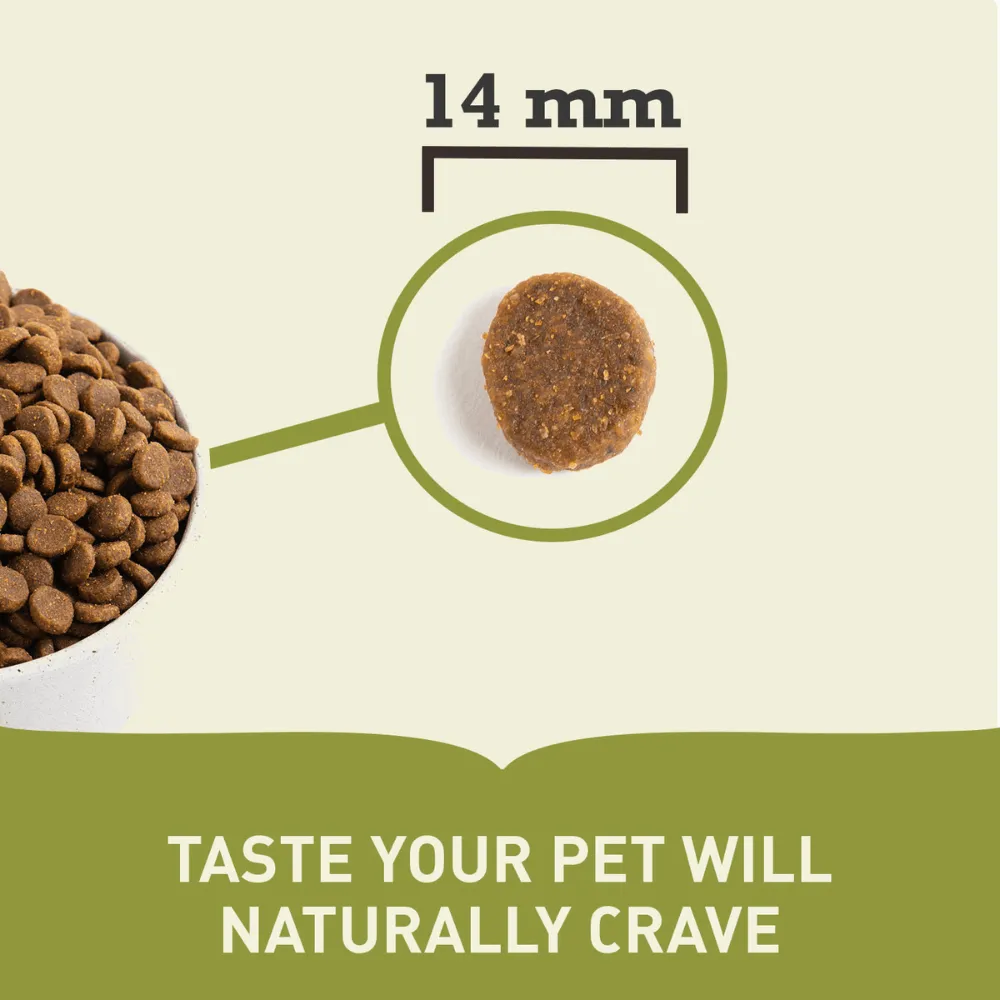 Adult Dry Dog Food