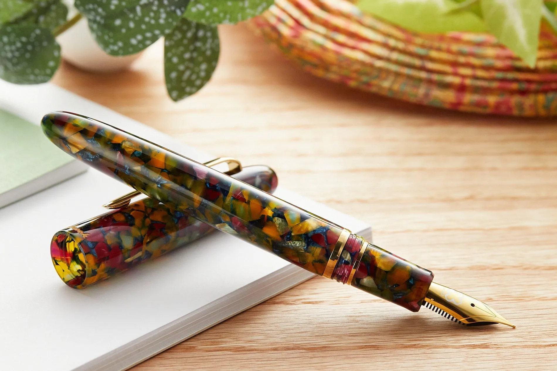 Esterbrook Estie Fountain Pen Gift Set - Botanical Gardens