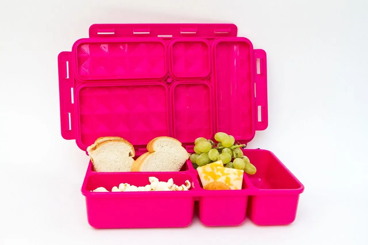 Go Green Lunch Box - Butterfly with Pink Box