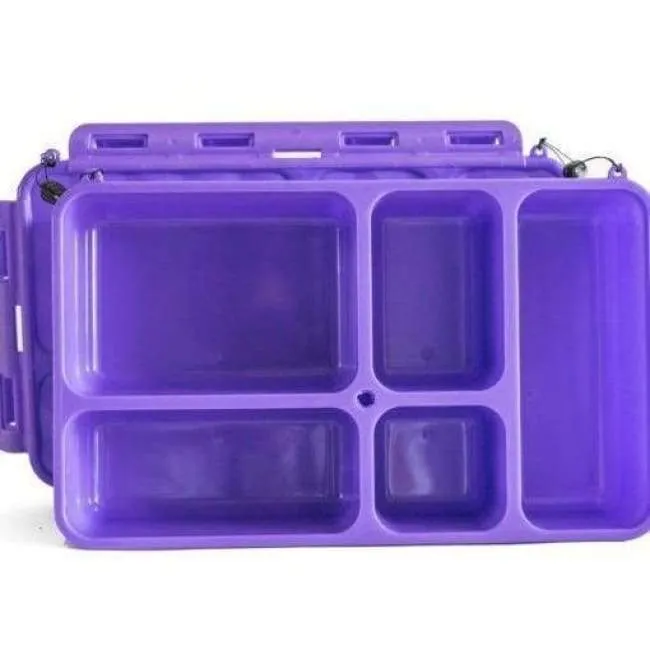 Go Green Lunch Box - Sea Horse with Purple Box