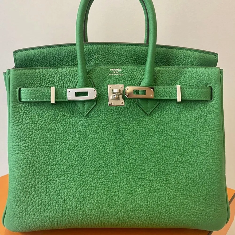 Hermès Birkin 25 Bambou Togo Palladium Hardware PHW