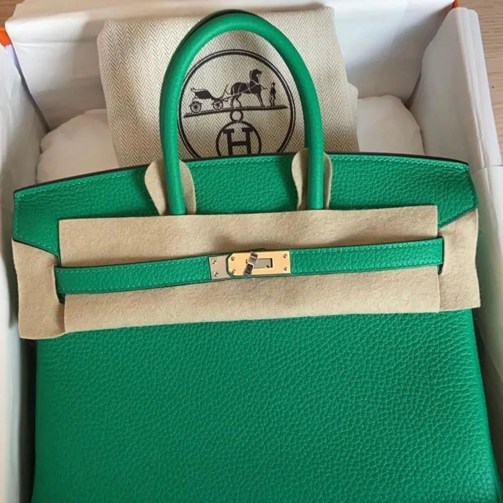 Hermès Birkin Limited Edition 25 Menthe/Vert Bosphore Verso Togo Palladium Hardware PHW