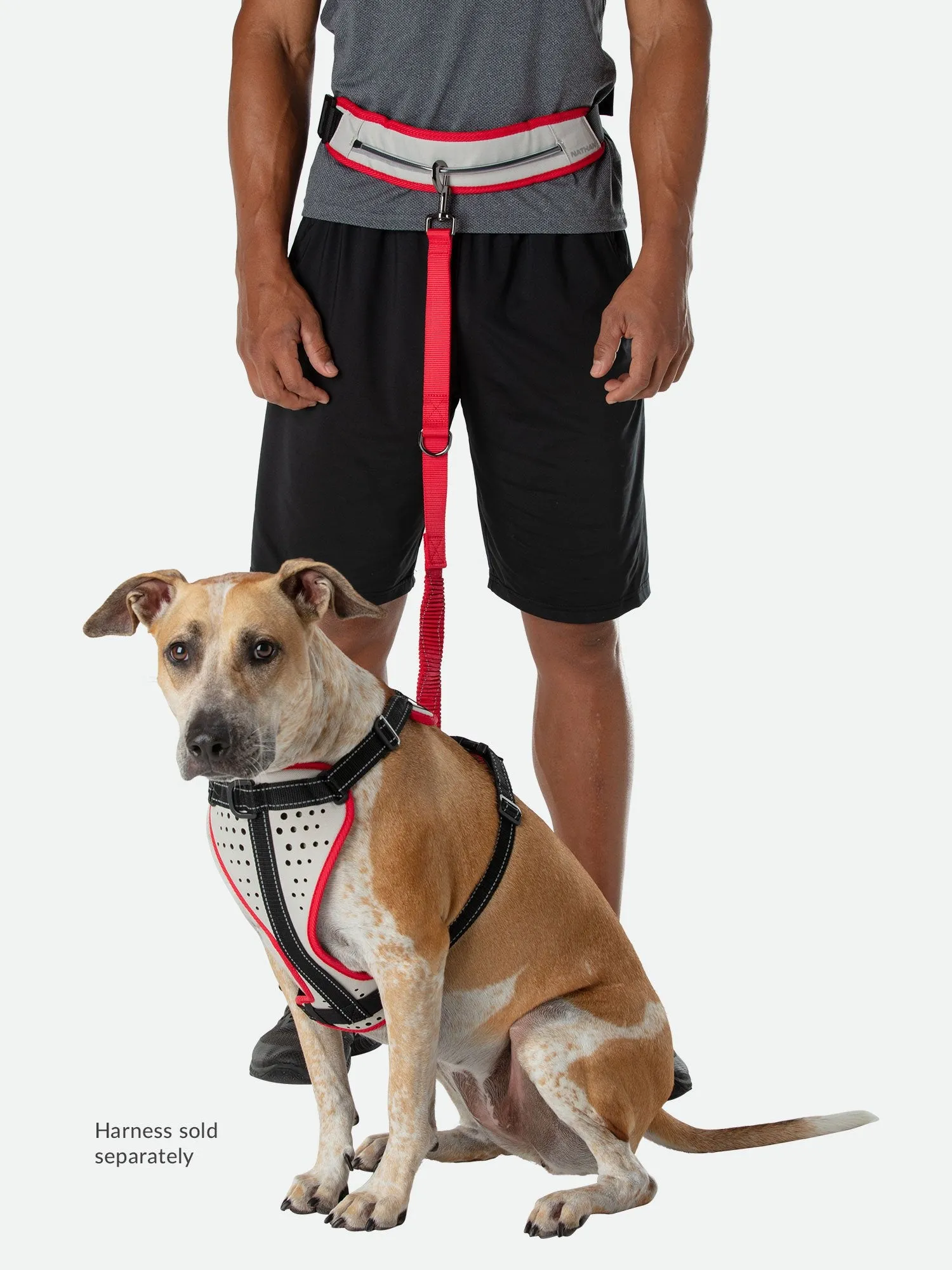 Nathan K9 Run Companion Runner's Waistpack   Leash