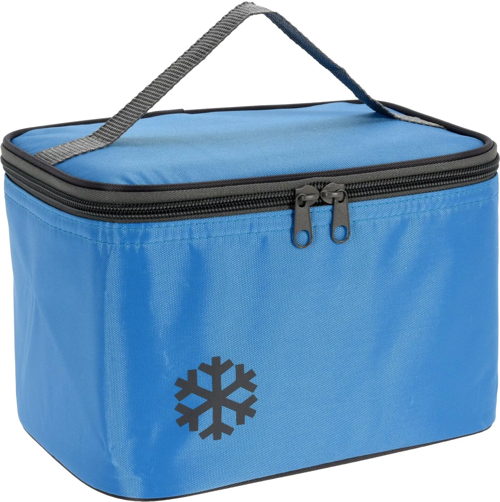 Polyester Cooler Bag | Assorted Colour | 4L