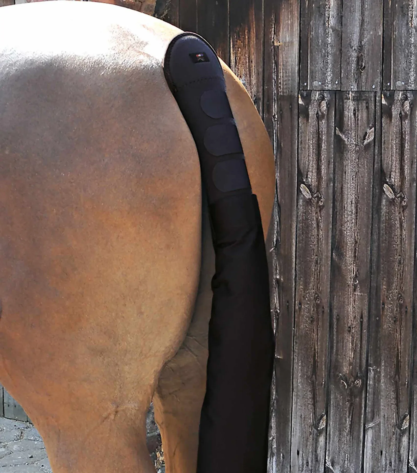 Premier Equine Padded Horse Tail Guard with Tail Bag