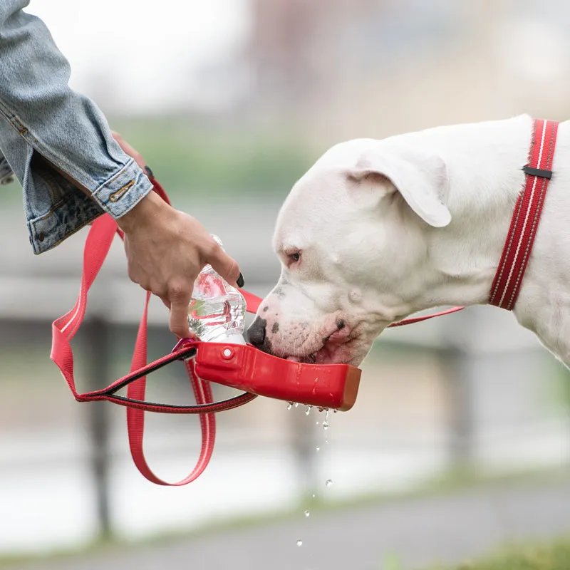 red travel dog water bottle