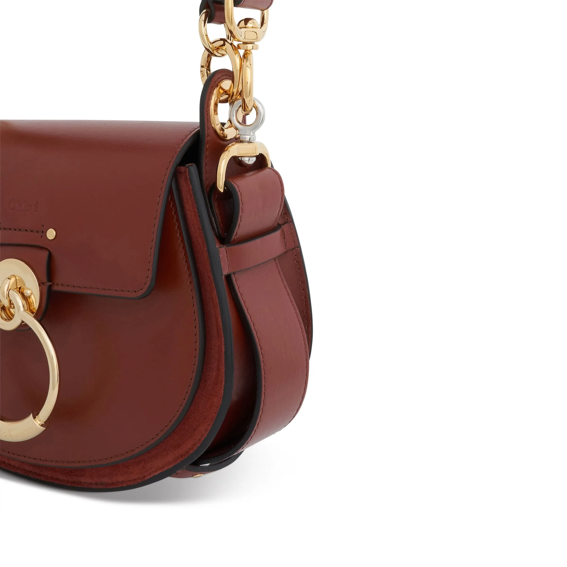 Small Tess Day Bag in Shiny & Suede Calfskin in Sepia Brown