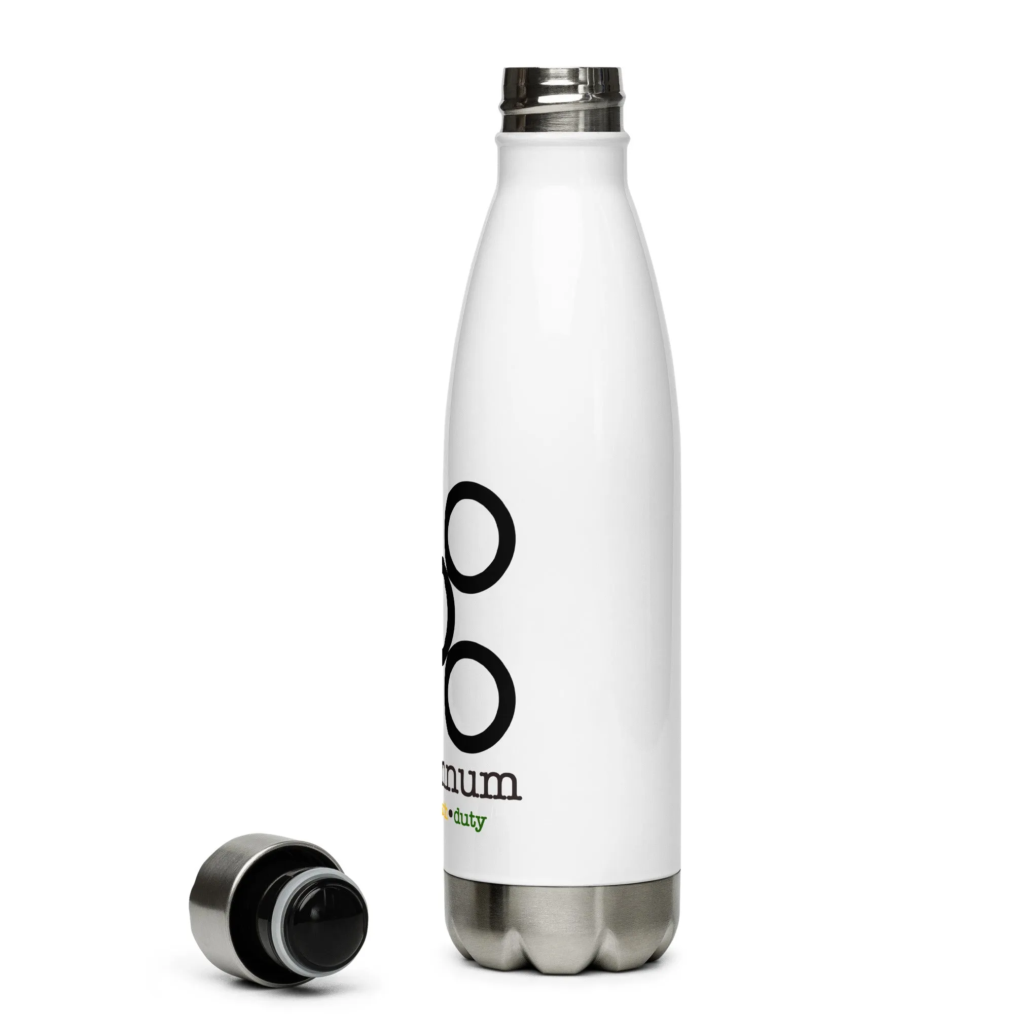 Stainless Steel Water Bottle